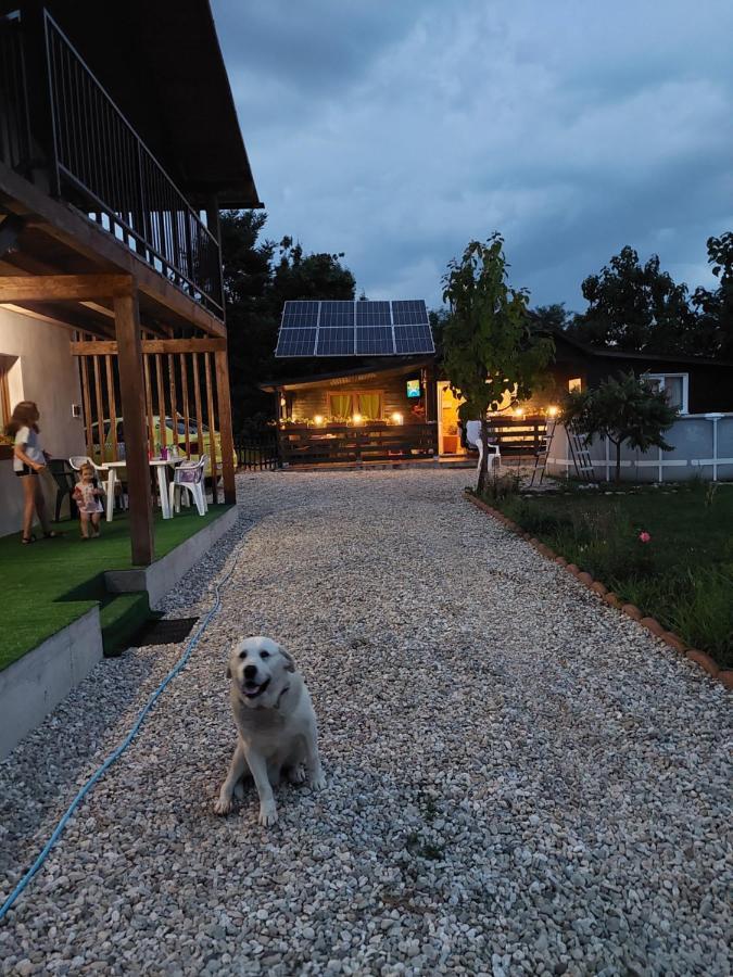 Cabana Oprisor Ocna Sibiului Ngoại thất bức ảnh